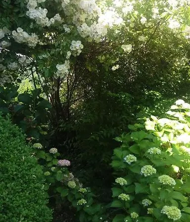 公寓 Haus Wagner *