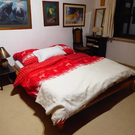 Haus Wagner 公寓 希尔塔赫