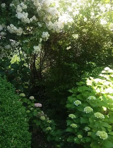 Appartement Haus Wagner *