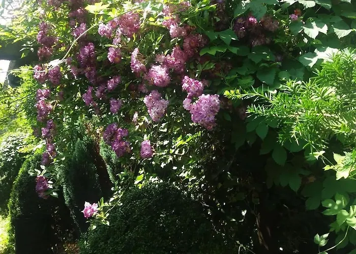 Appartement Haus Wagner