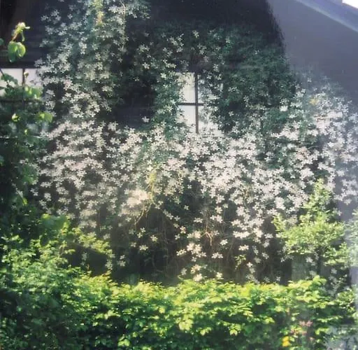 Appartement Haus Wagner