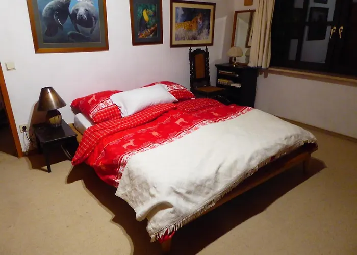 Haus Wagner Appartement Schiltach